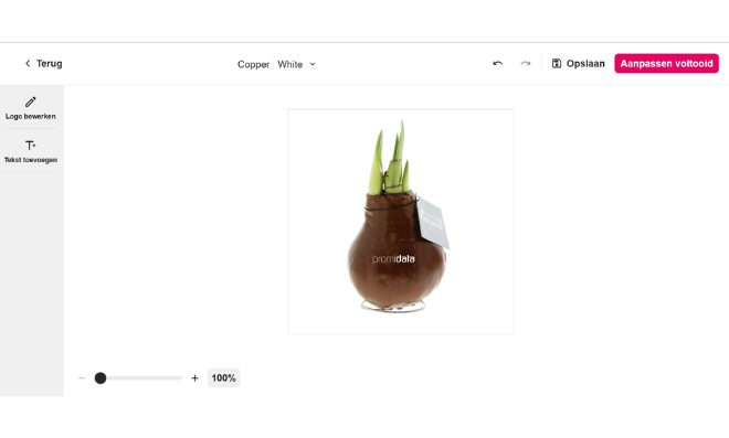 Promoplants: solution