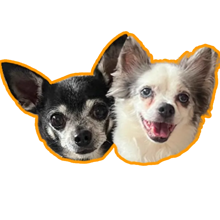 Woody &amp; Zoey